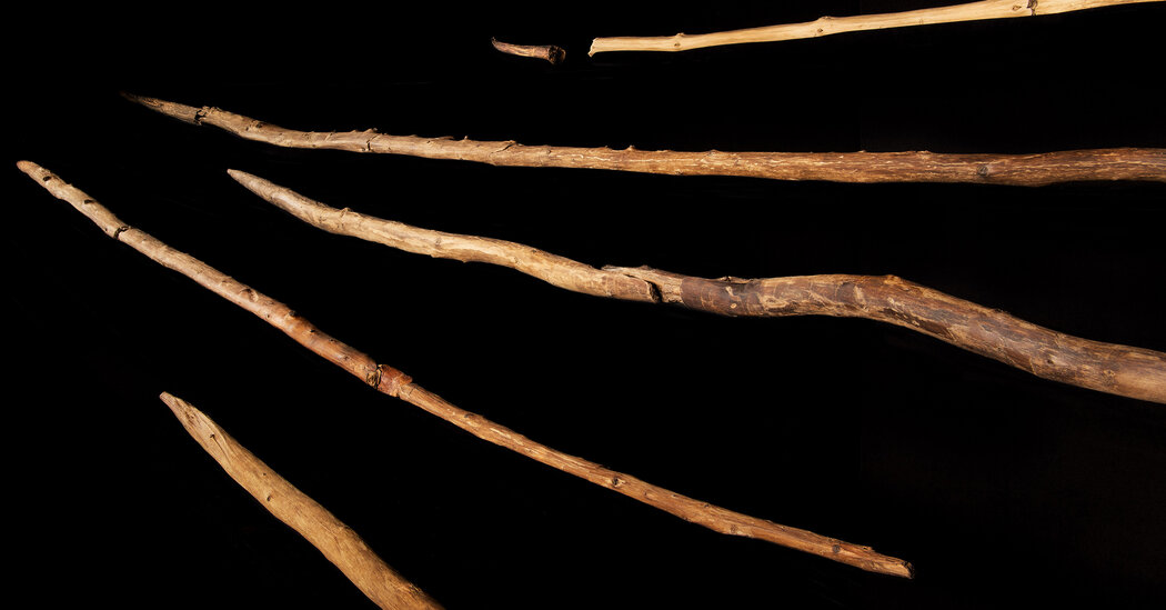 Was the Stone Age Really the Wood Age?